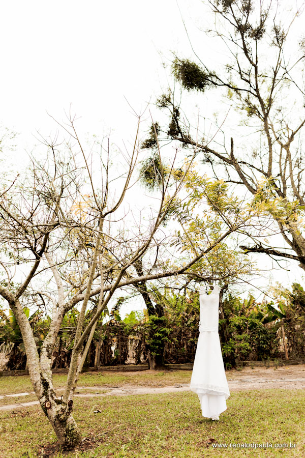 Fotos do Casamento Thais e Mauro