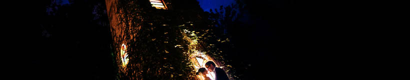 banner_casamento_wpja