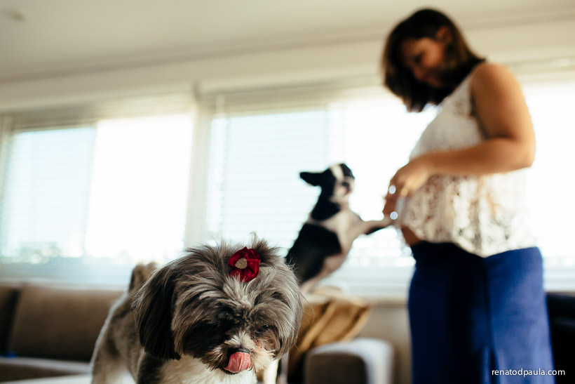 renatodpaula-ensaio-gestante-book-pet-1