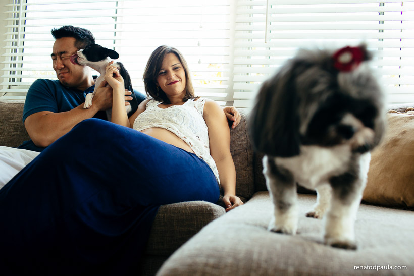 renatodpaula-ensaio-gestante-book-pet-15