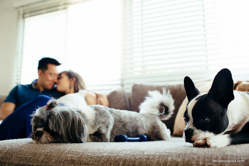 renatodpaula-ensaio-gestante-book-pet-18