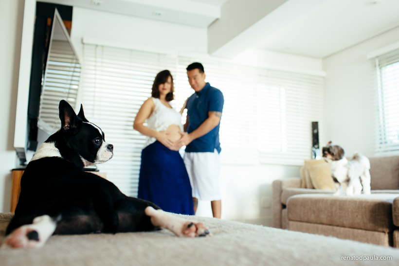 renatodpaula-ensaio-gestante-book-pet-9