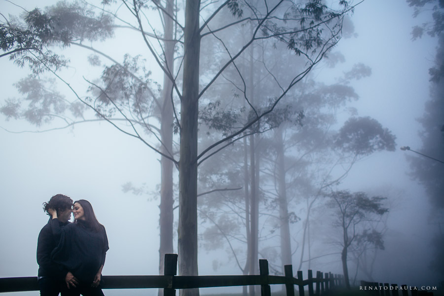 ensaio gestante book gravida renato dpaula