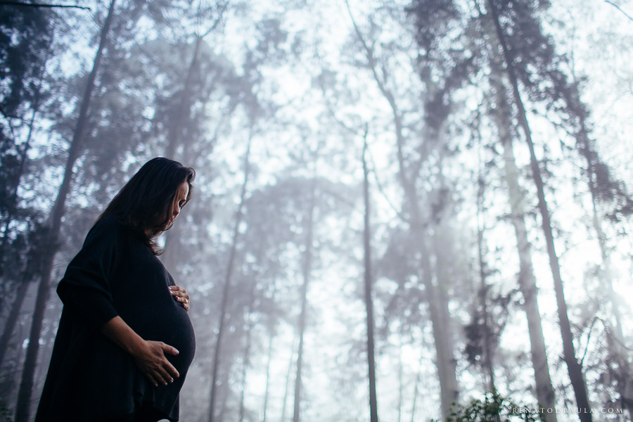 ensaio gestante book gravida renato dpaula