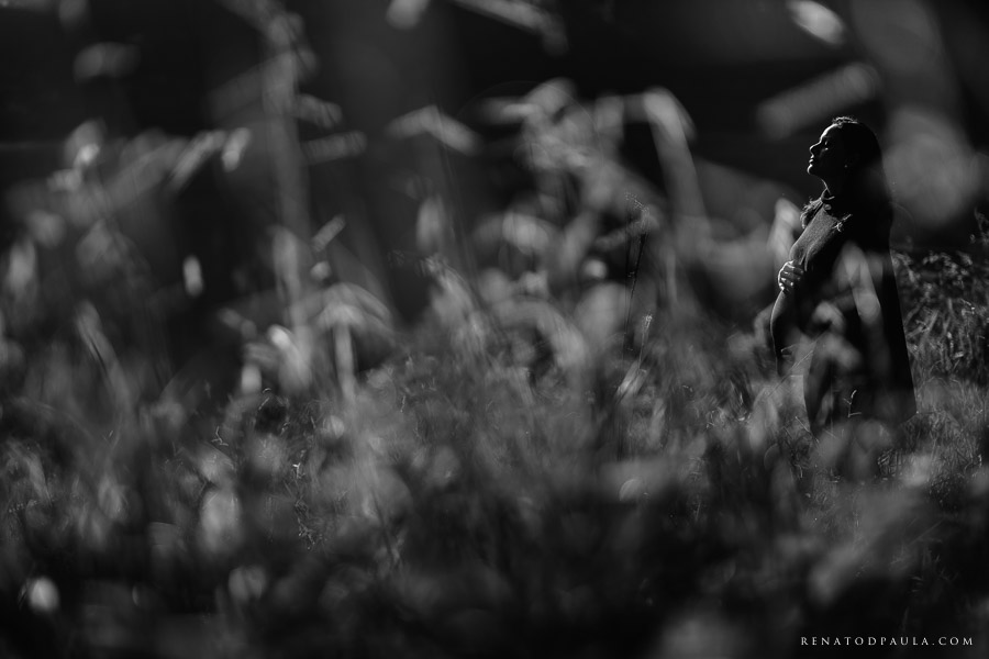 book gravida renato dpaula