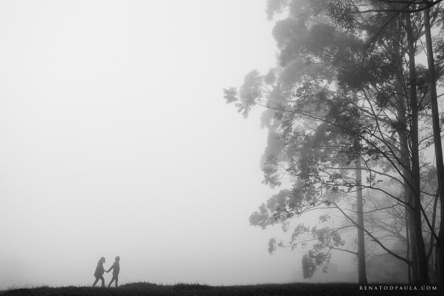 ensaio gestante book gravida renato dpaula