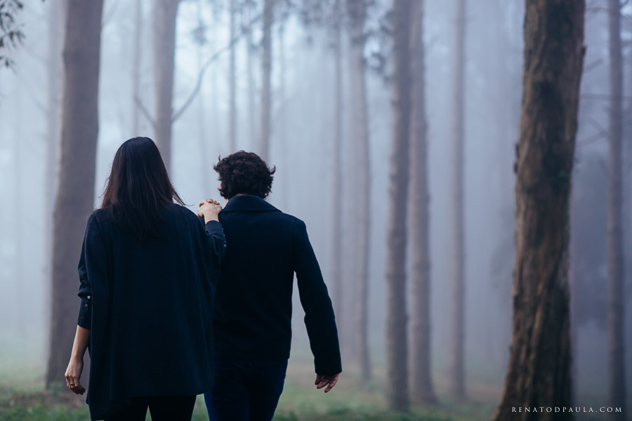 ensaio gestante book gravida renato dpaula