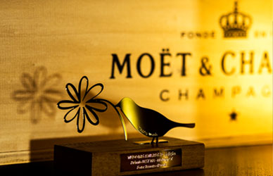 Oscar dos Casamentos – WA 2013