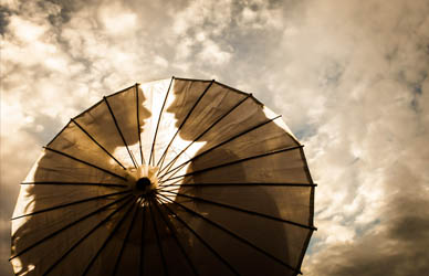 Fotos premiadas na ISPWP – Spring 2013