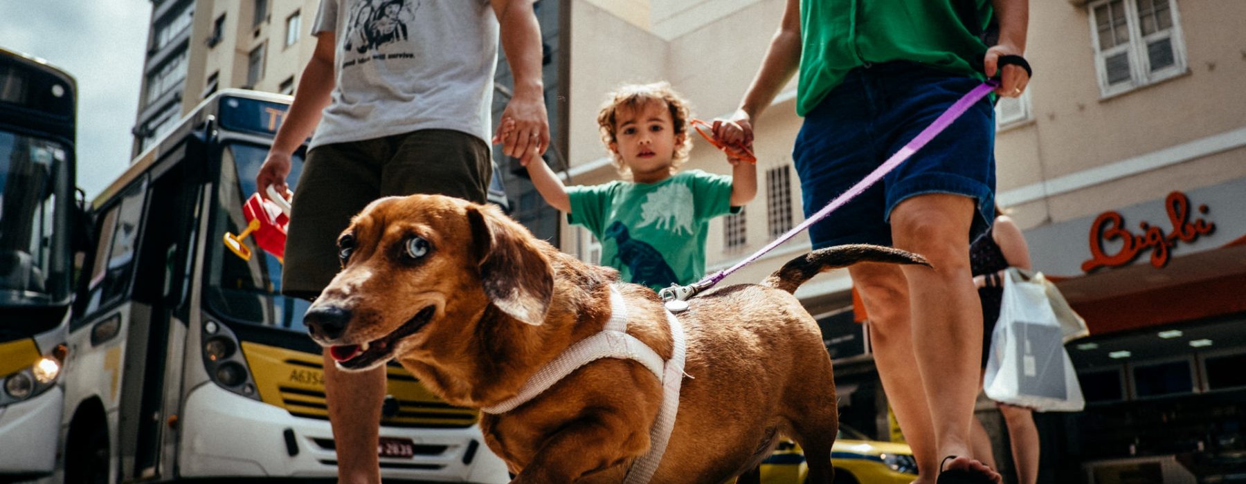 Um Dia na Vida dos Pires Thomé | Rio de Janeiro