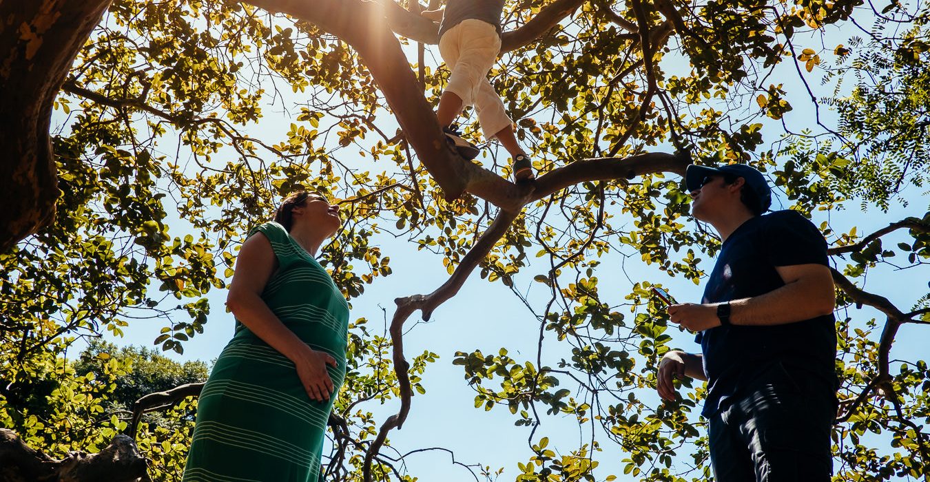 Um Dia na Vida dos Serafino | São Paulo