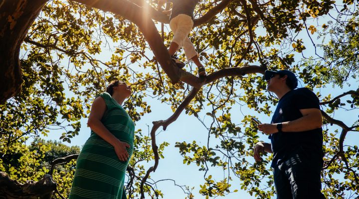 Um Dia na Vida dos Serafino | São Paulo